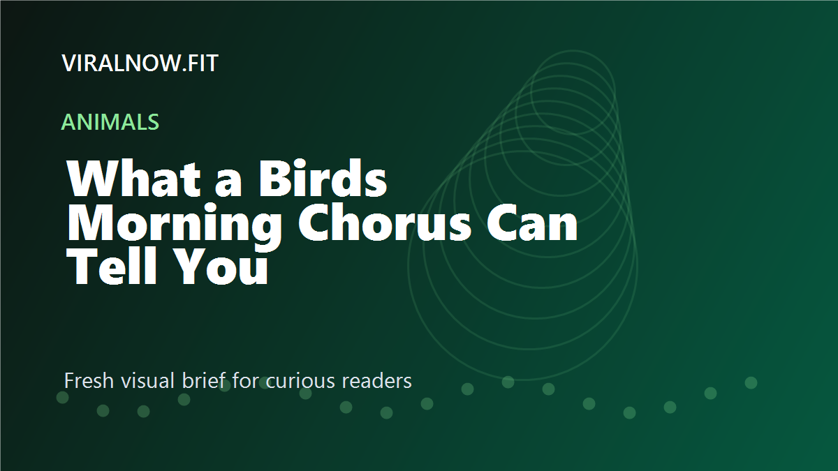 What a Bird’s Morning Chorus Can Tell You