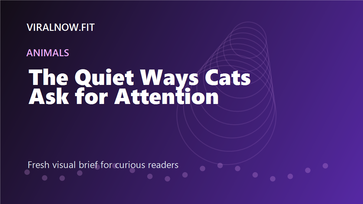 The Quiet Ways Cats Ask for Attention