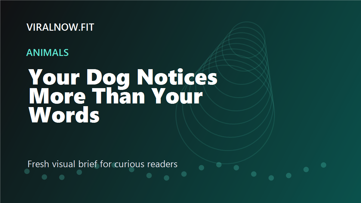 Your Dog Notices More Than Your Words—Here’s What the Research Actually Shows