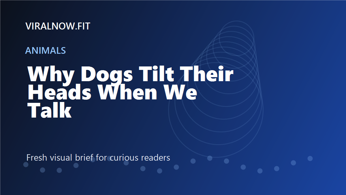 Why Dogs Tilt Their Heads When We Talk